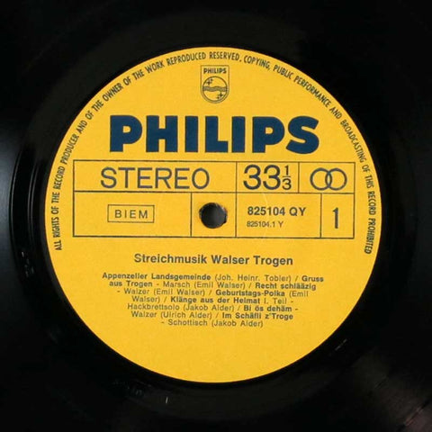 Streichmusik Walser Trogen
