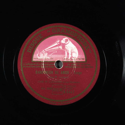 Bandoneon de amor / Loco destino