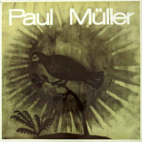 Paul Müller