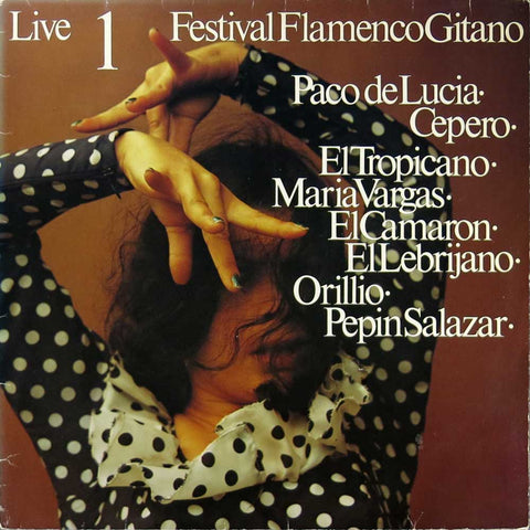 Festival Flamenco Gitano 1