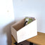Schallplattenbox für Schellack und Vinyl 10 inch (25 cm) gross