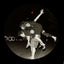 wolfer (seelenreinigendes Noise-Trio aus Bern & Winterthur) – Hey Lester!