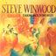 Steve Winwood – Talking Back To The Night
